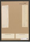 Nitzschia vitrea var. finmarchica Grun. (de-Toni-Nr.: Genus 47, Species 2112) Zeichnungen Sammlung Grunow Nr. 4230 (NHMW-BOT-W0372187)